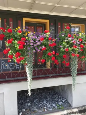 a bunch of flowers hanging from a building at Landgasthof Schäfle in Sankt Peterzell