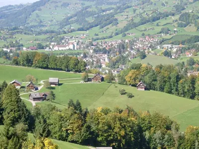 a green valley with houses and trees on a hill at Zwinglis Ferienwohnung in Nesslau