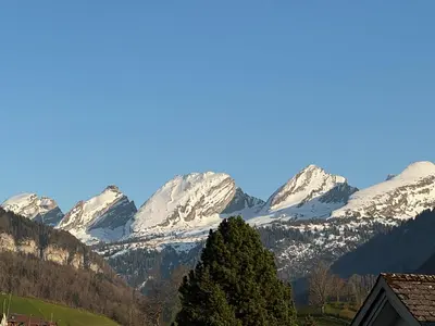 a snow covered mountain range with a tree in the foreground at Zwinglis Ferienwohnung Klärli in Nesslau