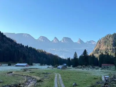 a field with trees and mountains in the background at Zwinglis Ferienwohnung Klärli in Nesslau