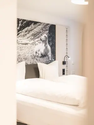 a bed in a room with a picture of a dog at Traube Restaurant & Hotel in Appenzell