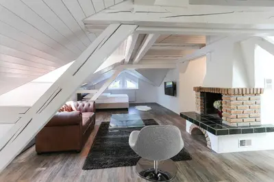a living room with a couch and a fireplace at Hotel Schäfli in Uzwil