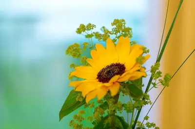 a yellow flower in a vase with other flowers at Hotel Restaurant Sokrates in Güttingen