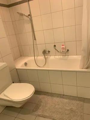 a bathroom with a shower and a toilet and a tub at over-night City-Flat in St. Gallen