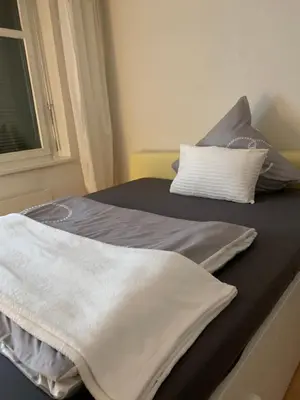 a bed with two blankets and pillows on it at over-night City-Flat in St. Gallen