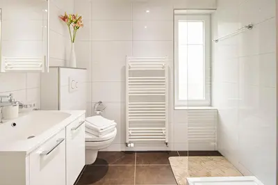 a white bathroom with a toilet and a sink at VISIMO Apartments Felsenstrasse St Gallen - Elegant heritage building in a quiet neighbourhood in St. Gallen