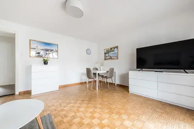 a living room with a large television and a table at SOHO G !Gratis Parken, Free Parking! in Kreuzlingen