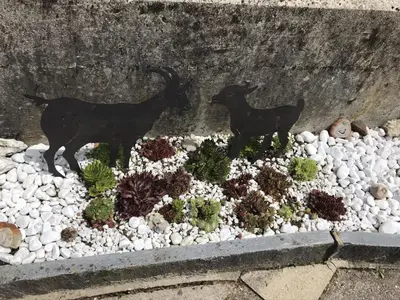 two statues of goats in a succulent garden at Appenzellerland - Ferienhaus 