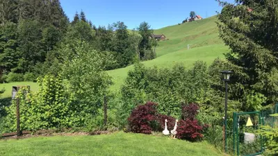 two animals in a garden with a hill in the background at Appenzellerland - Ferienhaus 
