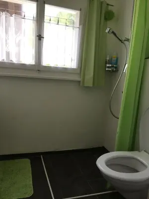 a bathroom with a green window and a toilet at Appenzellerland - Ferienhaus 