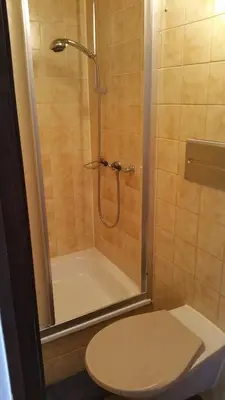 a bathroom with a shower with a toilet and a sink at Hotel Ochsen in Sankt Margrethen