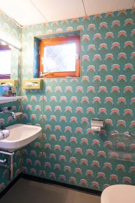 a bathroom with a toilet and a sink at Etienne in Wildhaus