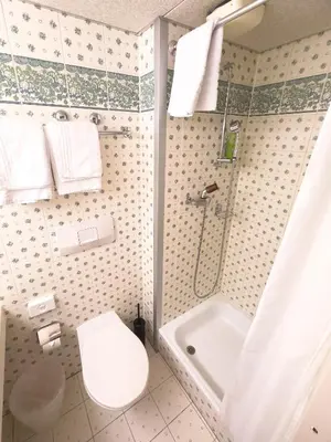 a bathroom with a toilet and a sink and a shower at Hotel Sternen Unterwasser in Unterwasser