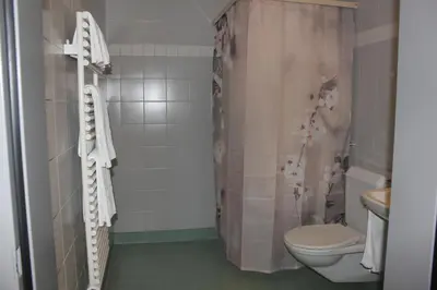 a bathroom with a toilet and a shower curtain at Herisau Apartments in Herisau