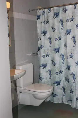 a bathroom with a toilet and a blue and white shower curtain at Herisau Apartments in Herisau