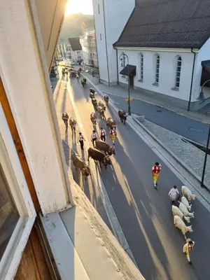 a group of people and animals walking down a street at Alpen-Paradies Edelweiss in Urnäsch