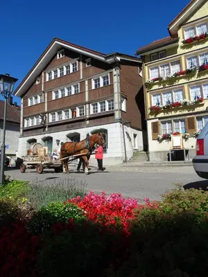 a horse pulling a cart in front of a building at Alpen-Paradies Edelweiss in Urnäsch