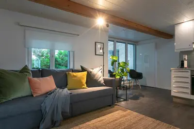 a living room with a gray couch with colorful pillows at INN JOY Apartments - Sankt Gallen West in St. Gallen