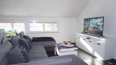a living room with a couch and a tv at Loft in der Natur mit Gartenzugang und Sauna in Herisau