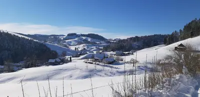 a snow covered village on a hill with houses at Loft in der Natur mit Gartenzugang und Sauna in Herisau