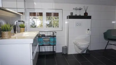 a bathroom with a sink and a toilet at Loft in der Natur mit Gartenzugang und Sauna in Herisau