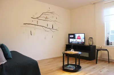 a living room with a tv and a table at Casa Schilling 2,5 rooms in St Gallen, modern, quiet and close to the center in St. Gallen