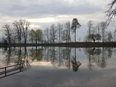 a reflection of trees in a body of water at Casa Schilling- 2,5 rooms with balcony near hospital, university in St. Gallen