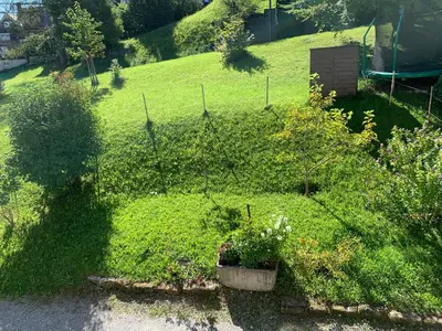 a garden with plants and flowers in a field at Allegra Appenzell in Trogen