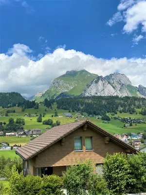 a house in a field with mountains in the background at Primula in Wildhaus
