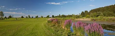 a field of grass with purple flowers next to a river at Appartement Unterstädeli Engelburg SG in Wittenbach