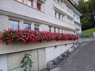 a building with flowers on the side of it at Schwellbrunn,Ferienwohnung mit Säntissicht in Schwellbrunn