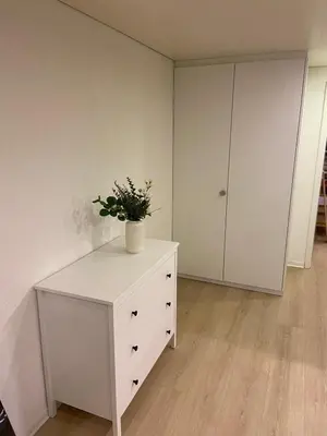a white dresser with a potted plant on top of it at book2stay - Apartments Herisau in Herisau