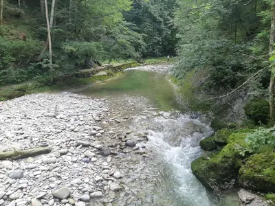 a river in the middle of a forest at Gästehaus Aemisegg in Sankt Peterzell