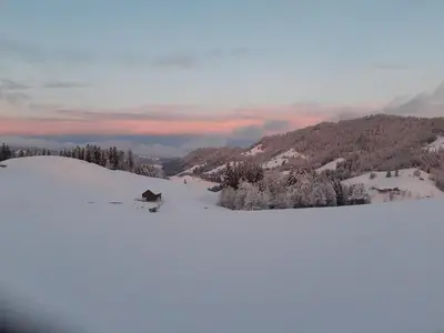 a person on skis in the snow on a mountain at Gästehaus Aemisegg in Sankt Peterzell