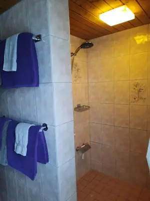 a bathroom with a shower with blue towels at Vreni`s Ferienwohnung in Gais