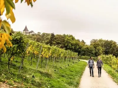 two people walking down a path through a vineyard at Charmante und zentrale Wohnung am Weiherpark Arbon in Arbon