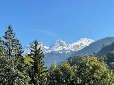 a view of mountains with trees and snow at Blässchopfhüsli in Nesslau