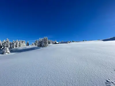 a snow covered field with trees in the background at Blässchopfhüsli in Nesslau
