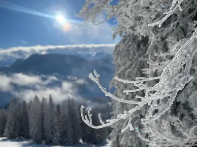 a snow covered tree branch with a view of a mountain at Blässchopfhüsli in Nesslau
