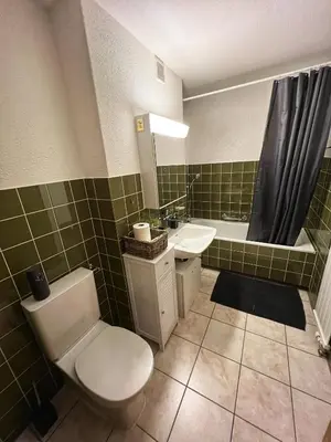 a bathroom with a toilet and a sink and a tub at Beautiful holiday apartment in Wildhaus Toggenburg in Wildhaus