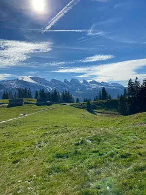 a green field with mountains in the background at Beautiful holiday apartment in Wildhaus Toggenburg in Wildhaus
