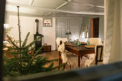 a living room with a christmas tree and a table at Fischerhäuser Romanshorn in Romanshorn