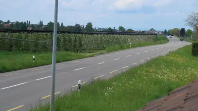 an empty road with grass and flowers on the side at MBar in Altnau