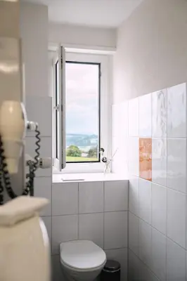 a bathroom with a toilet and a window at Hotel & Restaurant Nollen in Hosenruck